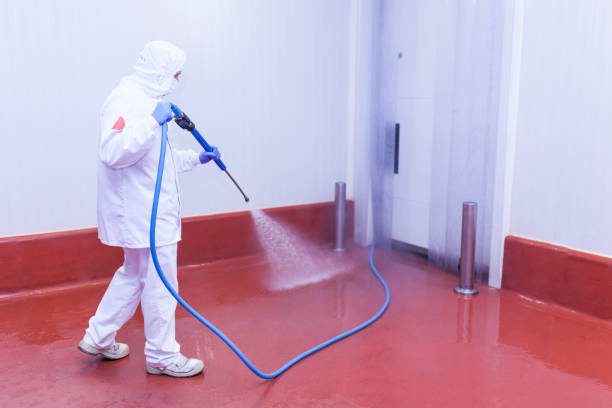 Reliable Mission, TX Pressure Washing Services Solutions