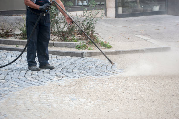 Best Boat and Dock Cleaning  in Mission, TX