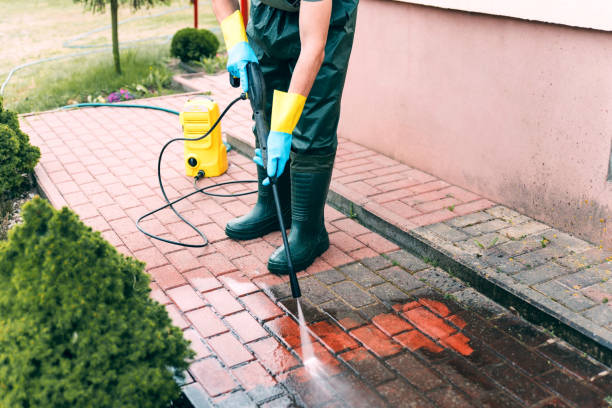 Best Roof Washing  in Mission, TX